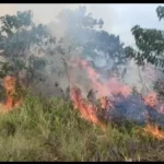 Lahan Gambut di Baula Kolaka Terbakar