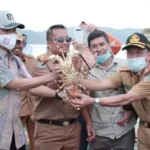 Konsel Dilirik Jadi Pusat Budidaya Lobster Nasional