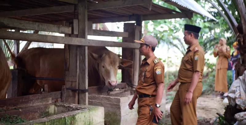 Idul Adha, Upin Dipotong