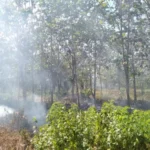 Anggota TNI Diduga Bakar Lahan Mantan Anggota DPRD Koltim