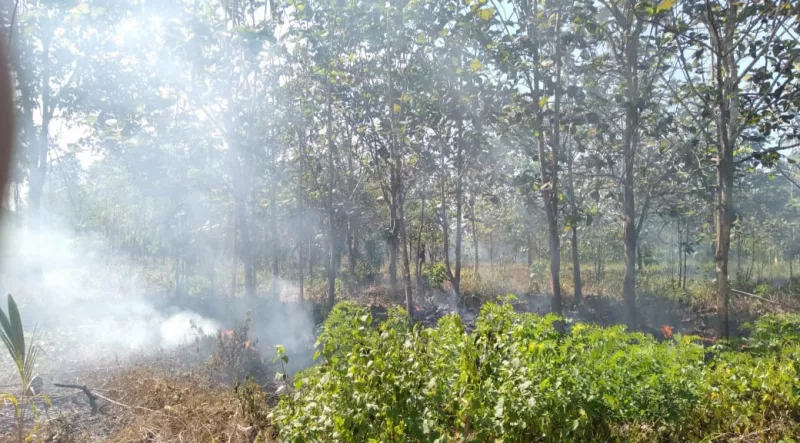 Anggota TNI Diduga Bakar Lahan Mantan Anggota DPRD Koltim