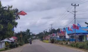 Bendera Pertarungan SBM vs Tony Berkibar di Ibukota Koltim
