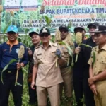 Program 'Memory Daun Pisang' Tony Herbiansyah