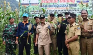 Program 'Memory Daun Pisang' Tony Herbiansyah