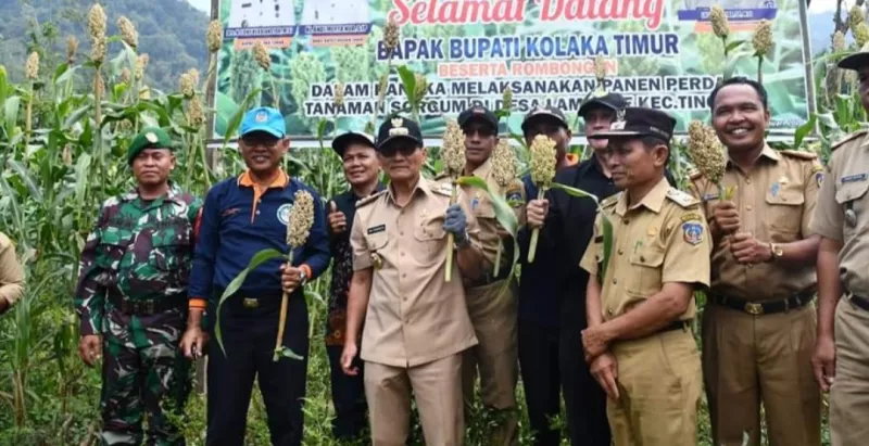 Program 'Memory Daun Pisang' Tony Herbiansyah
