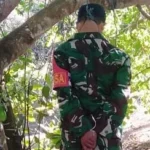 Anggota TNI Ditemukan Meninggal Tergantung di Pohon Jamb