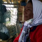 Warga Suku Bajo di Wakatobi Tidak Kebagian BSPS