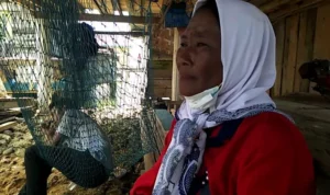 Warga Suku Bajo di Wakatobi Tidak Kebagian BSPS