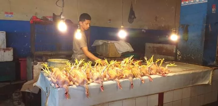 Harga Daging Ayam dan Sapi di Kendari Stabil