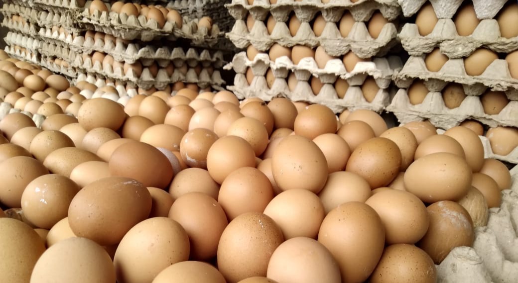 Harga Telur Ayam Ras di Kendari Rp 48 Ribu- Rp 55 Ribu