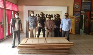 Polres Kendari Tangkap Pelaku Pencurian 27 Daun Pintu