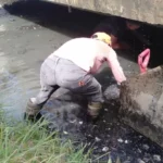 DLHK Antisipasi Banjir,Membersihkan Aliran Sungai