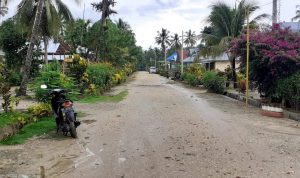Warga Desa Mondoe Jaya Minta Perbaikan Jalan