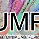 Sultra Tunggu Keputusan Dewan Pengupahan Untuk Terapkan UMS