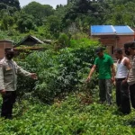 Dinyatakan Hilang, Anak Remaja Ditemukan di Dalam Karung di Kebun