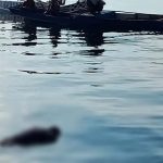 Nelayan Hilang di Selat Tiworo Ditemukan Meninggal Dunia