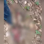 Warga Digegerkan Penemuan Mayat Bayi Perempuan di Kebun Raya UHO