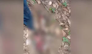 Warga Digegerkan Penemuan Mayat Bayi Perempuan di Kebun Raya UHO