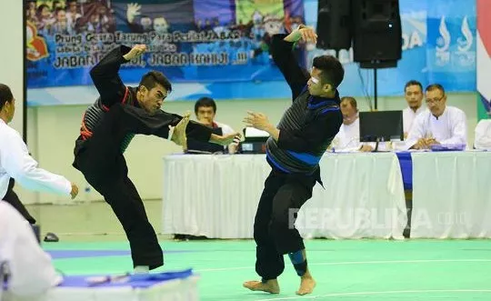 Menakar Peluang Cabor Bela Diri Sultra di PON XX