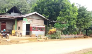 PT CNI Fokus Mitigasi Bencana dan Rehabilitasi Ekologi Wilayah Terdampak Longsor