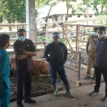 DPRD Jamin Stok Daging di Kendari Aman