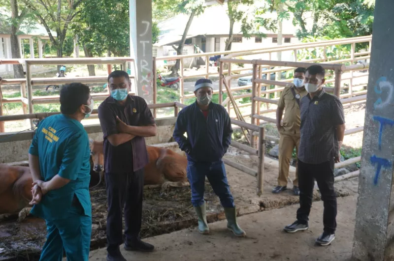 DPRD Jamin Stok Daging di Kendari Aman