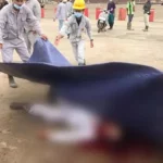 Tak Terima Ditegur, Supir Drum Truck Nekat Menikam Pengawas PT.DLA