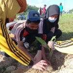 DLHK Kota Kendari Tanam Ratusan Pohon di Talia