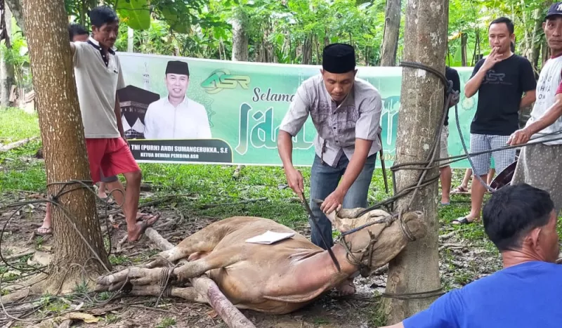 ASR Bagikan Daging Sapi ke 155 KK di Lambuya