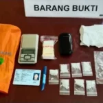 Ibu Rumah Tangga Nekat Menjadi Pengedar Sabu-sabu