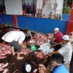 Disdamkar Kendari Bagikan 325 Kantong Daging Kurban