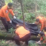 Wanita Paruh Baya yang Hilang di Hutan Paku Jaya Ditemukan Meninggal