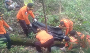Wanita Paruh Baya yang Hilang di Hutan Paku Jaya Ditemukan Meninggal
