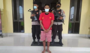 Pencuri Hand Tractor di Wolasi Ditangkap