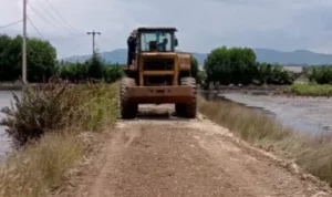 PT VDNI Benahi Jalan di Desa Ululalimbue