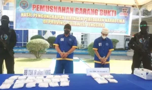 BNNP Sultra Memusnahkan 1278,5 Gram Narkotika