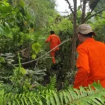 Warga Mawasangka Dilaporkan Hilang di Hutan Kumalano