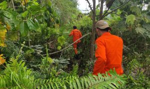 Warga Mawasangka Dilaporkan Hilang di Hutan Kumalano