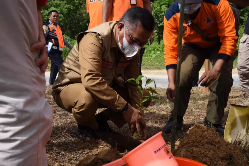 Antisipasi Bencana Wali Kota Kendari Canangkan Penanaman 1000 Pohon