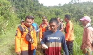 Warga Kolut yang Hilang di Hutan Karinglau Ditemukan Selamat