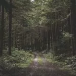 Ilustrasi orang hilang