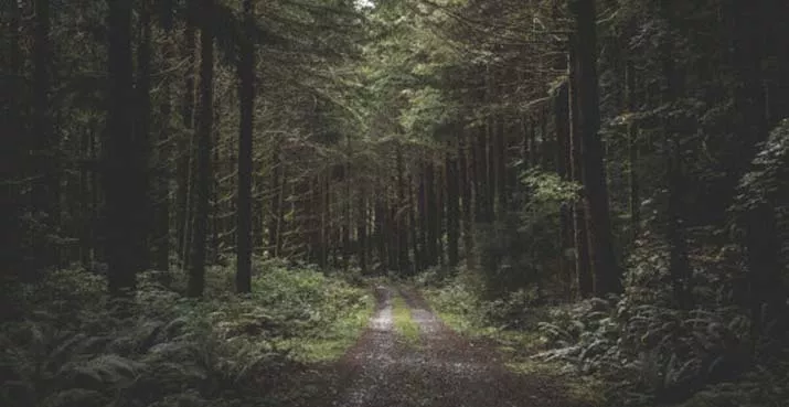 Ilustrasi orang hilang