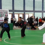 IPSI Baubau Gelar Kejurcab Pencak Silat