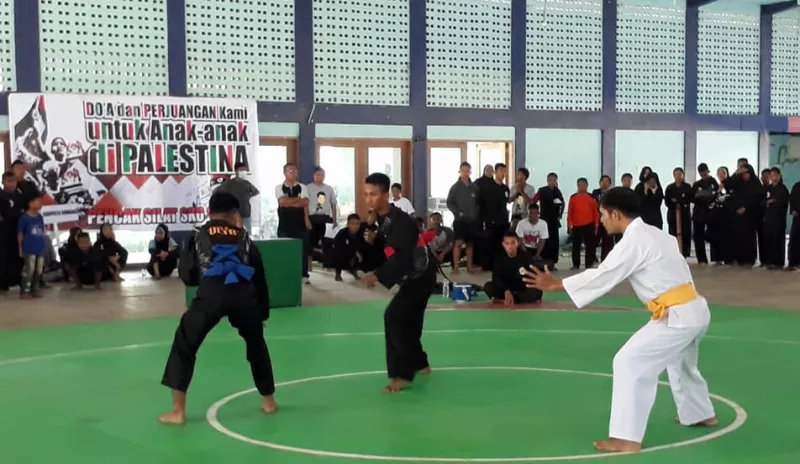 IPSI Baubau Gelar Kejurcab Pencak Silat