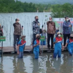 Tanam Mangrove