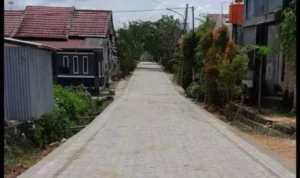 387476733_359245743229746_65346889494842919_n