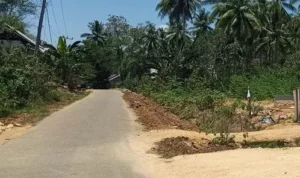 jalan osmetundu