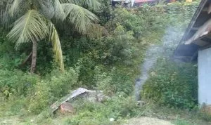 received_1311701109313433